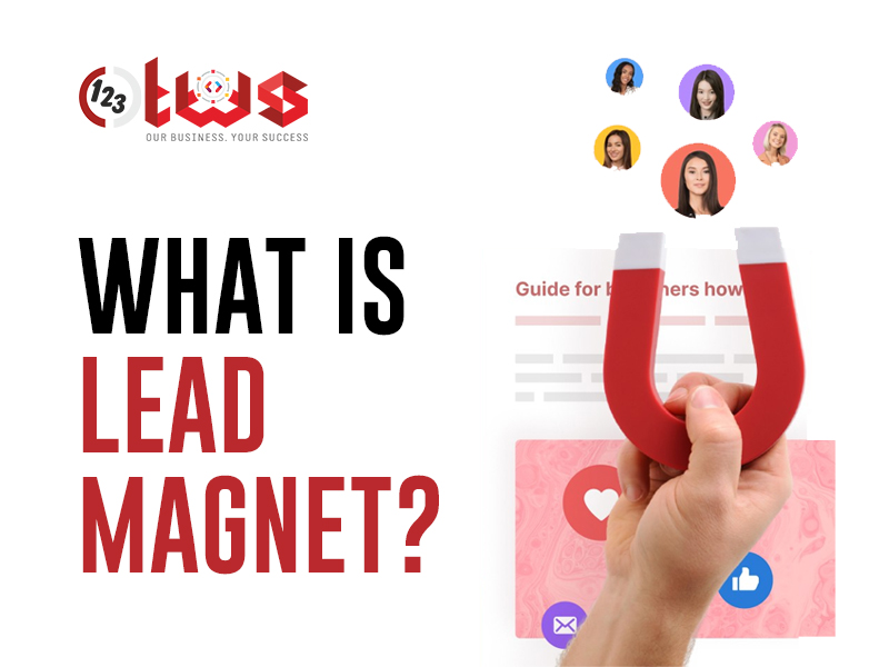 What is Lead Magnet? How its important for business