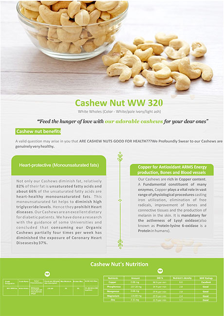 Global Overseas Corporate (Cashew Nut)